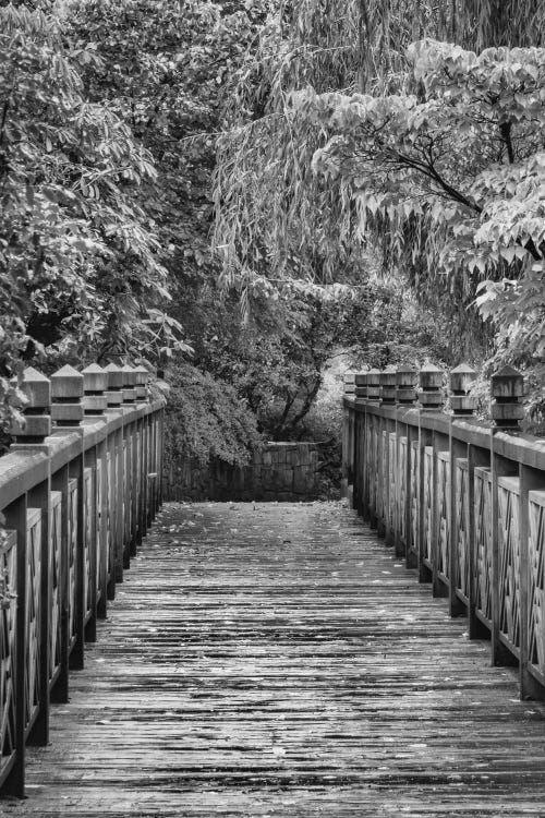 Across The Bridge In B&W