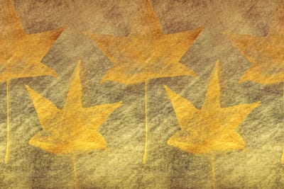 Five Golden Leaves by Don Schwartz framed wall art