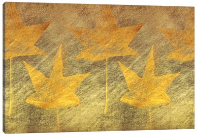 Five Golden Leaves Canvas Art Print - Don Schwartz