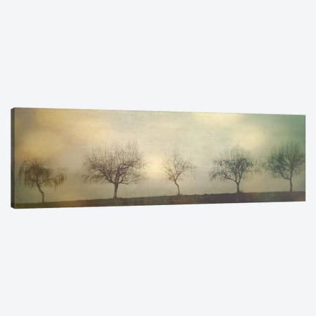 Five Trees On A Hill Canvas Print #DSC31} by Don Schwartz Canvas Artwork