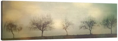 Five Trees On A Hill Canvas Art Print - Mist & Fog Art