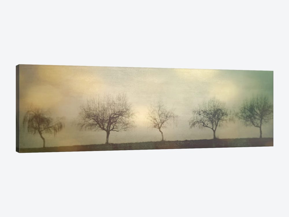Five Trees On A Hill 1-piece Canvas Art Print