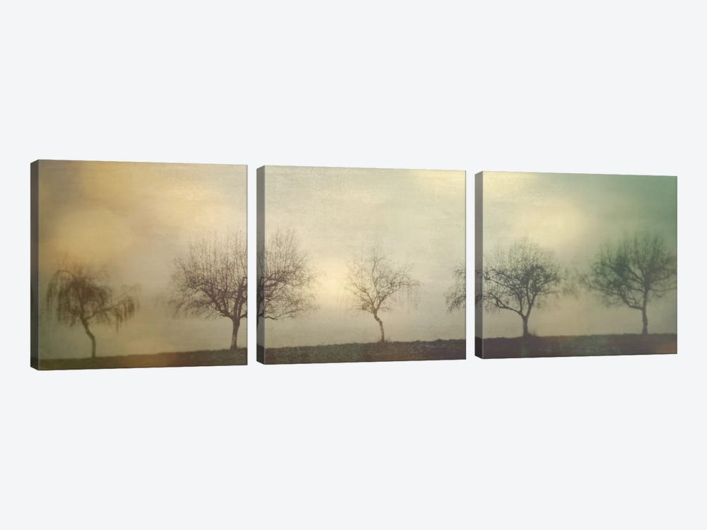 Five Trees On A Hill by Don Schwartz 3-piece Canvas Art Print