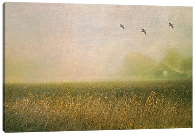 Foggy Barn Among Sunflowers Canvas Art Print - Don Schwartz