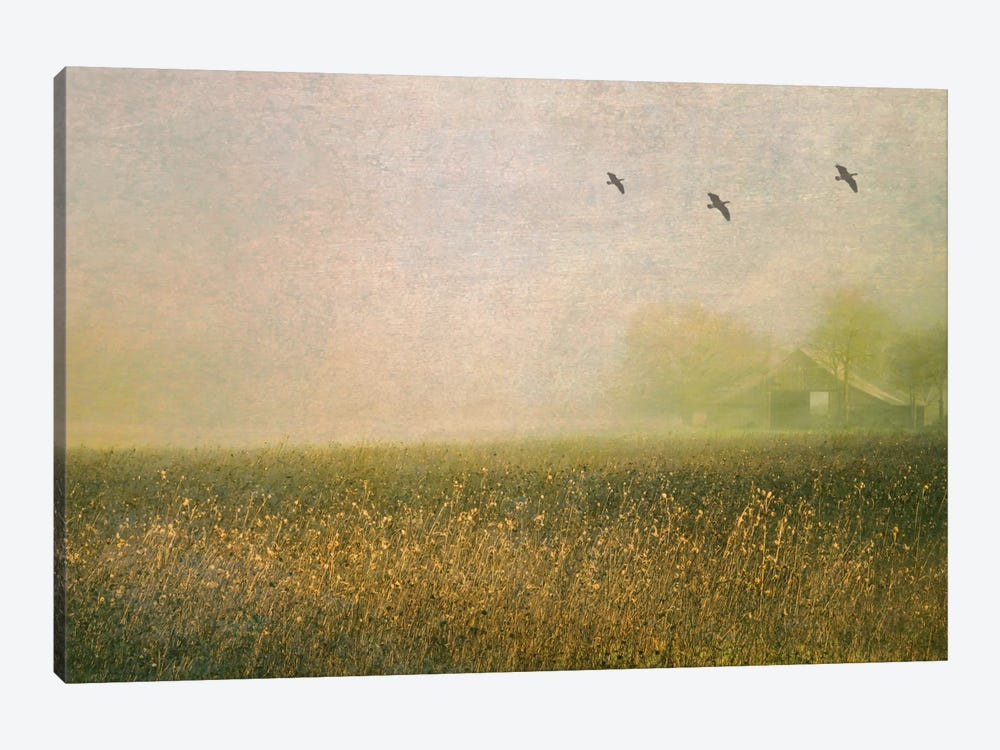Foggy Barn Among Sunflowers by Don Schwartz 1-piece Art Print