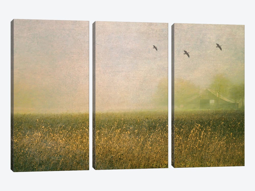 Foggy Barn Among Sunflowers by Don Schwartz 3-piece Canvas Print