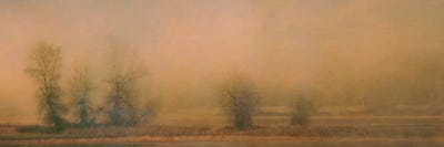 Foggy Island by Don Schwartz canvas print