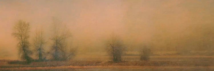 Foggy Island by Don Schwartz wall art