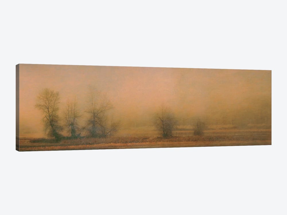 Foggy Island by Don Schwartz 1-piece Canvas Artwork