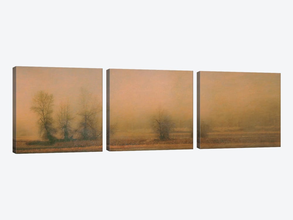 Foggy Island by Don Schwartz 3-piece Canvas Art