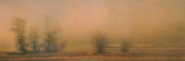 Foggy Island