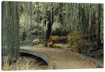 Garden Path Canvas Art Print - Willow Tree Art