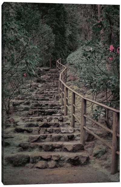 Garden Stairway Canvas Art Print - Don Schwartz