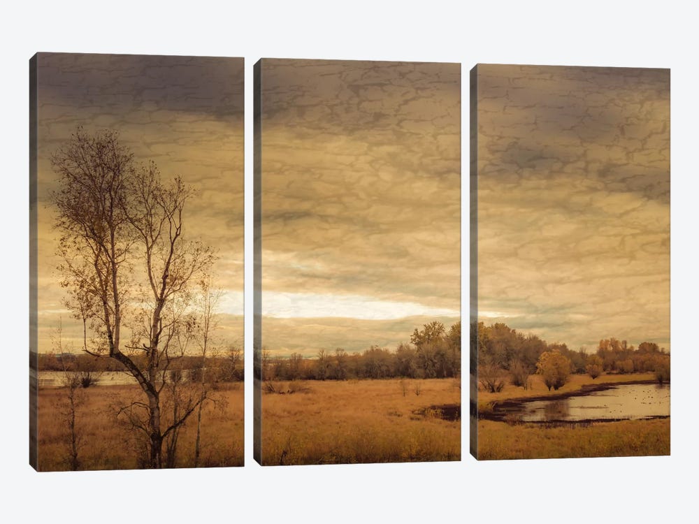 Geese On A Pond 3-piece Canvas Print