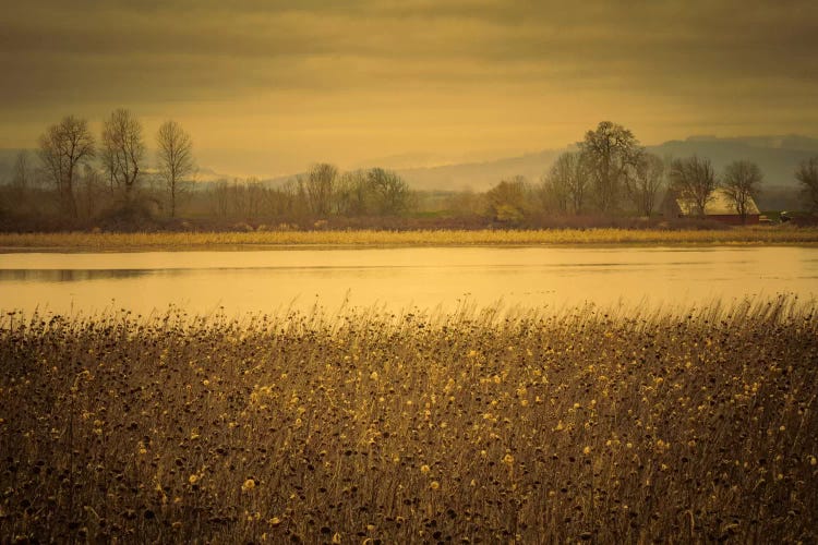 Across The Field And Pond