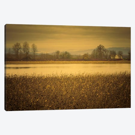 Across The Field And Pond Canvas Print #DSC3} by Don Schwartz Canvas Wall Art