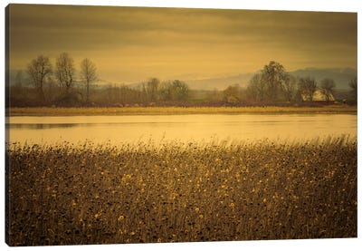 Across The Field And Pond Canvas Art Print - Don Schwartz