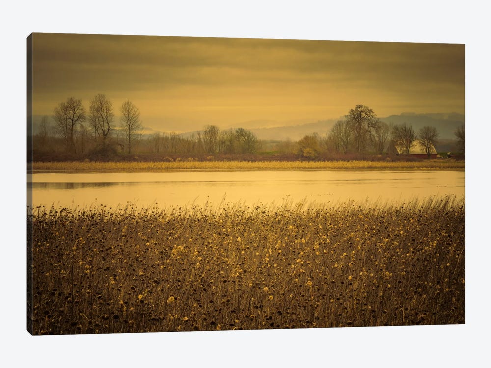 Across The Field And Pond by Don Schwartz 1-piece Canvas Artwork