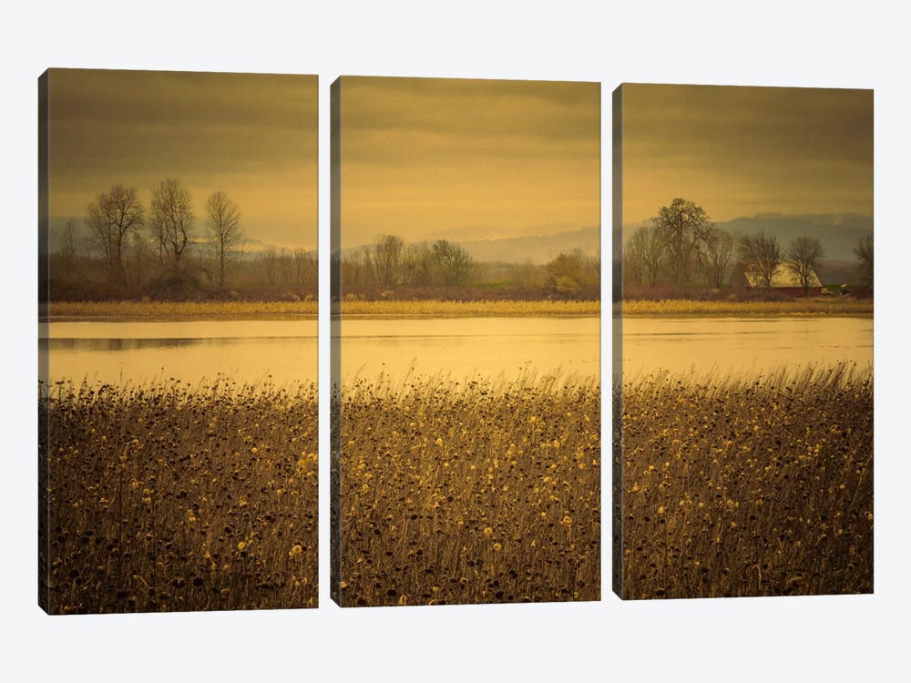 Across The Field And Pond by Don Schwartz 3-piece Canvas Art