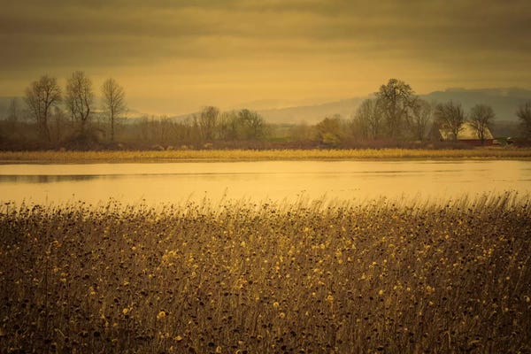 Across The Field And Pond