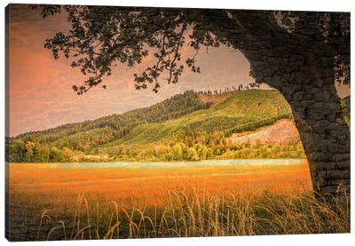 Hillside View Canvas Art Print - Don Schwartz