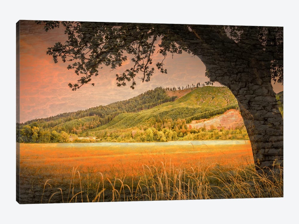 Hillside View by Don Schwartz 1-piece Canvas Print