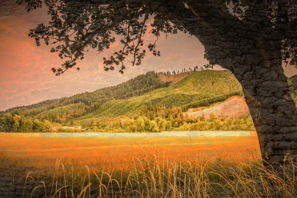 Hillsides: Hillside View by Don Schwartz