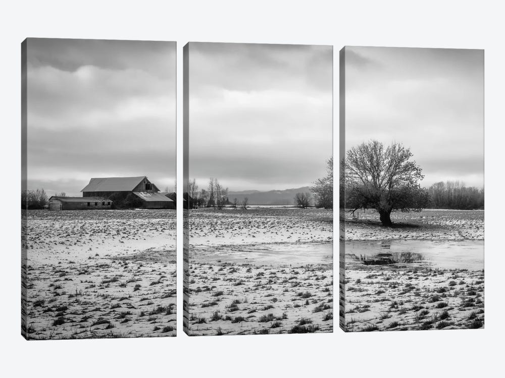 In The Snowy Pasture 3-piece Canvas Art