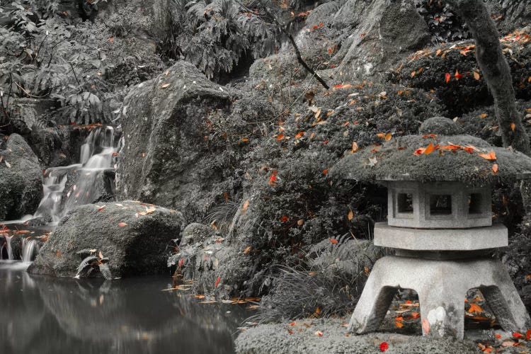 Lantern Along The Pond