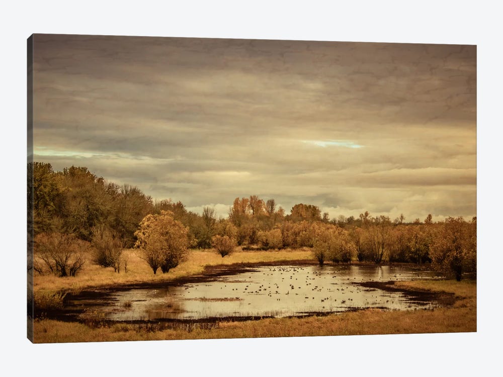 Late Autumn Pond by Don Schwartz 1-piece Canvas Print