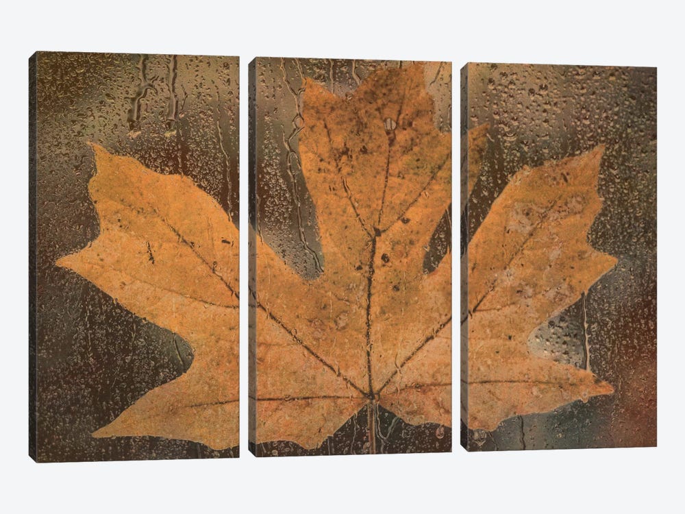 Maple Leaf In The Rain 3-piece Canvas Artwork