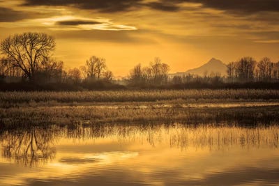 Morning Unfolds by Don Schwartz framed wall art