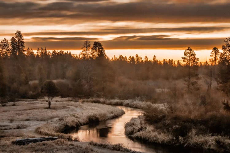 Along The Little Deschutes