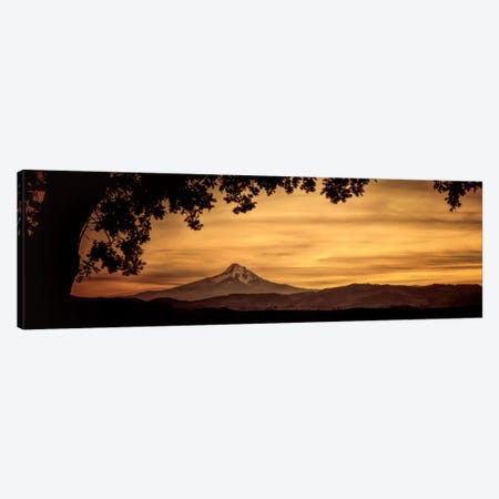 Mt. Hood At Sunset Canvas Print #DSC60} by Don Schwartz Art Print