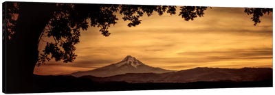 Mt. Hood At Sunset Canvas Art Print - Mountain Sunrise & Sunset Art