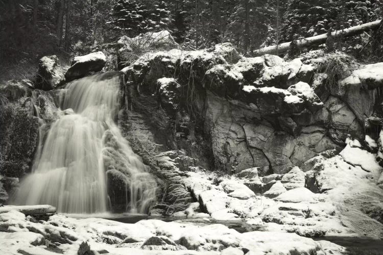 Paulina Falls by Don Schwartz wall art