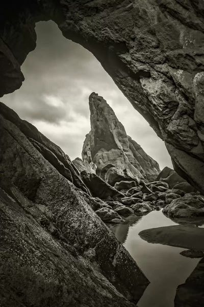 Peeking Through by Don Schwartz framed wall art