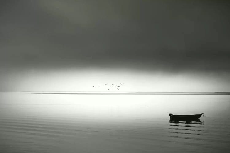 Quiet Morning In The Bay by Don Schwartz wall art