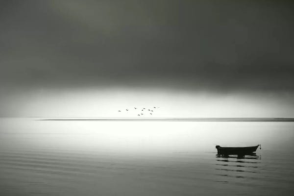 Quiet Morning In The Bay