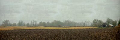 Rustic Barn On A Rainy Day by Don Schwartz canvas print