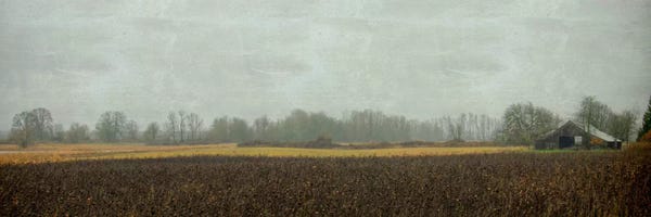 Farms: Rustic Barn On A Rainy Day by Don Schwartz