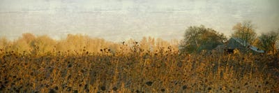 Rustic Barn On A Sunny Day by Don Schwartz canvas print
