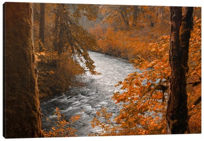 Silver Creek Canvas Art Print - Autumn Art