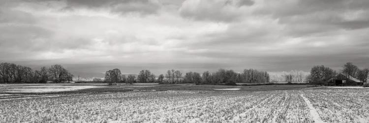 Snow-Dusted Field