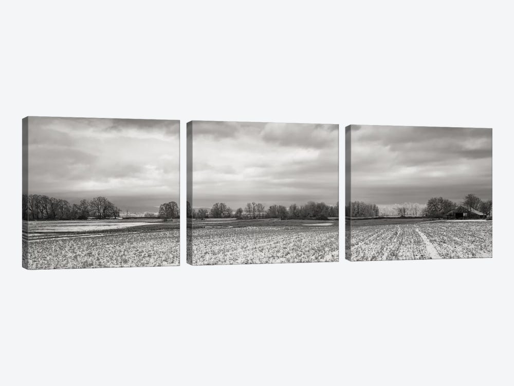 Snow-Dusted Field by Don Schwartz 3-piece Art Print