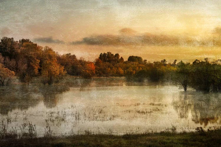 Spring Wetlands by Don Schwartz wall art