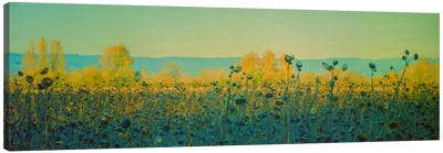 Sunflowers In Autumn Canvas Art Print - Don Schwartz