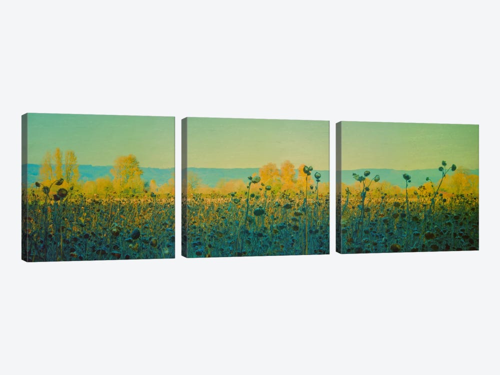 Sunflowers In Autumn by Don Schwartz 3-piece Canvas Art Print