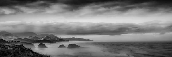 Mist & Fog: Sun-Kissed Coastal Morning by Don Schwartz