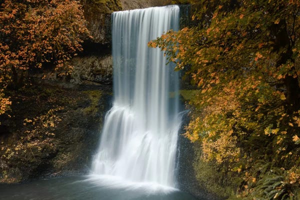 Autumn Cascade